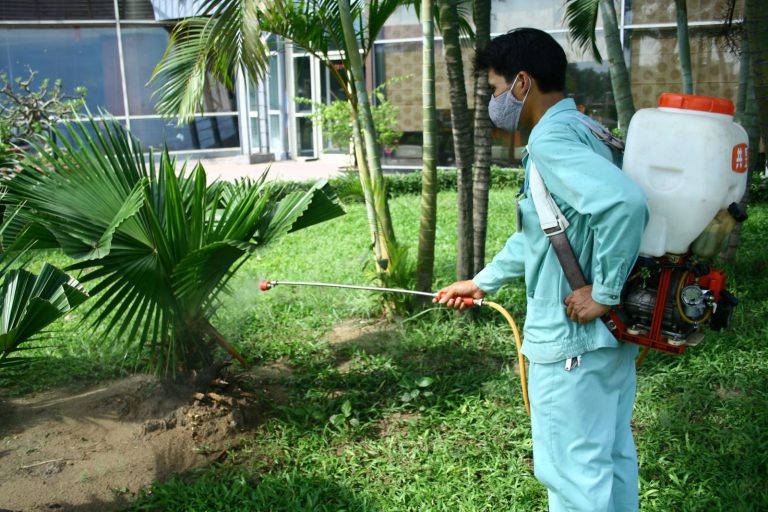 Top 5 dịch vụ diệt muỗi uy tín tại Tp. Hồ Chí Minh
